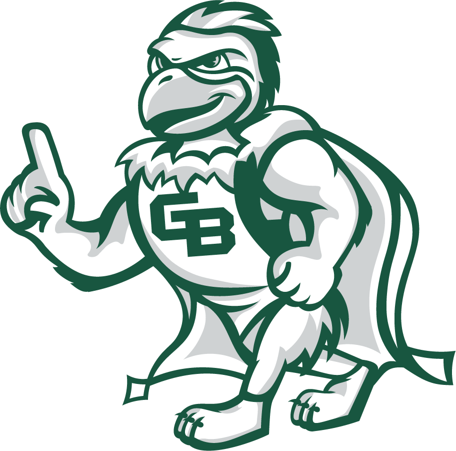 Wisconsin-Green Bay Phoenix 2020-Pres Mascot Logo v3 iron on transfers for clothing